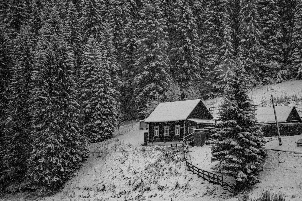 Photograph by Людмила Баймухаметова