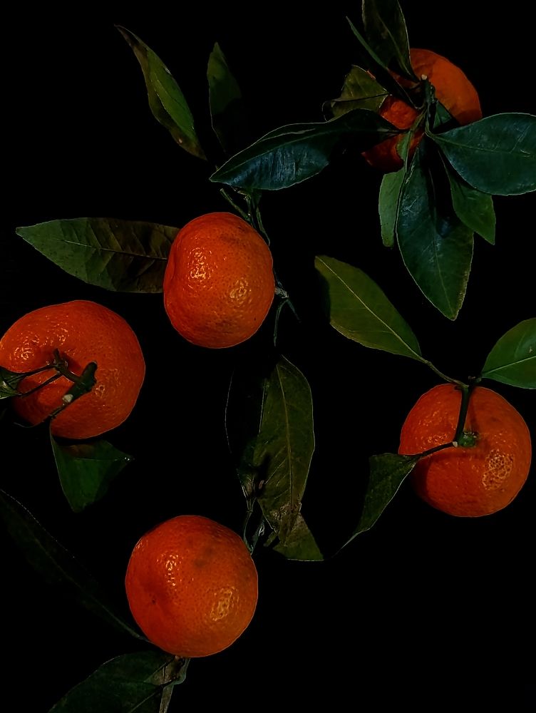 Photograph by Наталья Смирнова