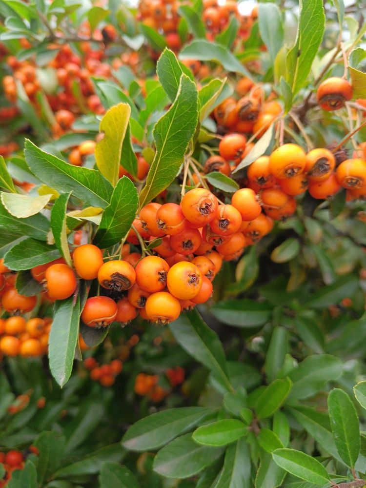 Photograph by Карина Слабкая