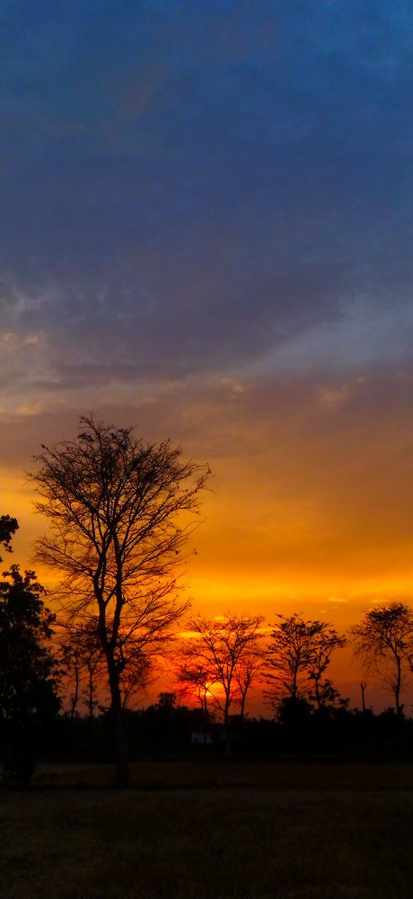 Orange colour