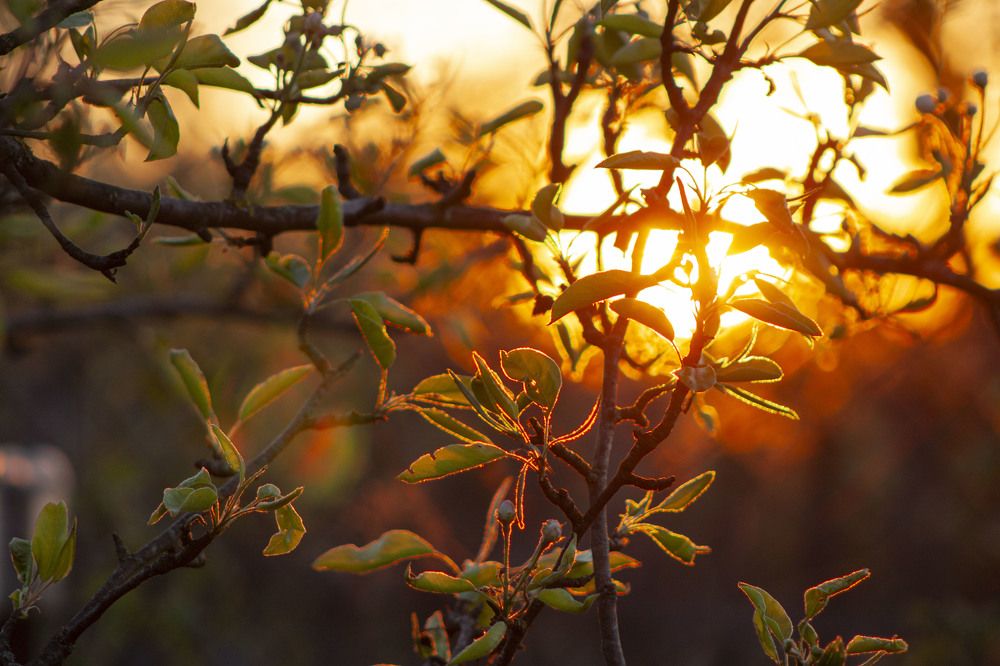Photograph by Владислав Капанов