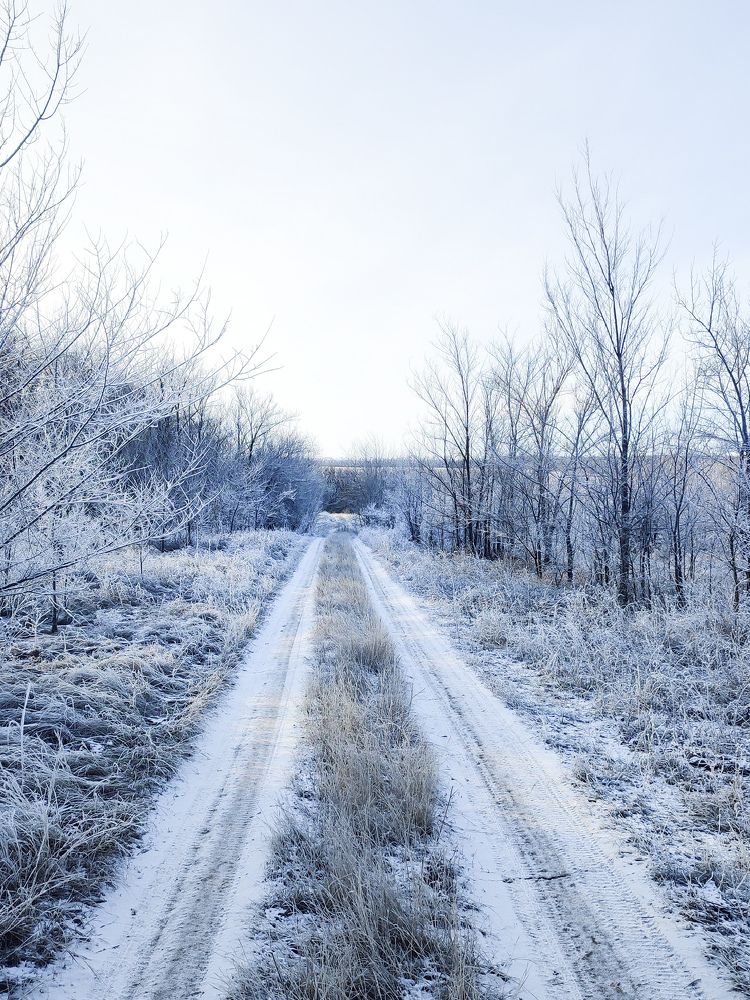 Photograph by Ирина Козлова