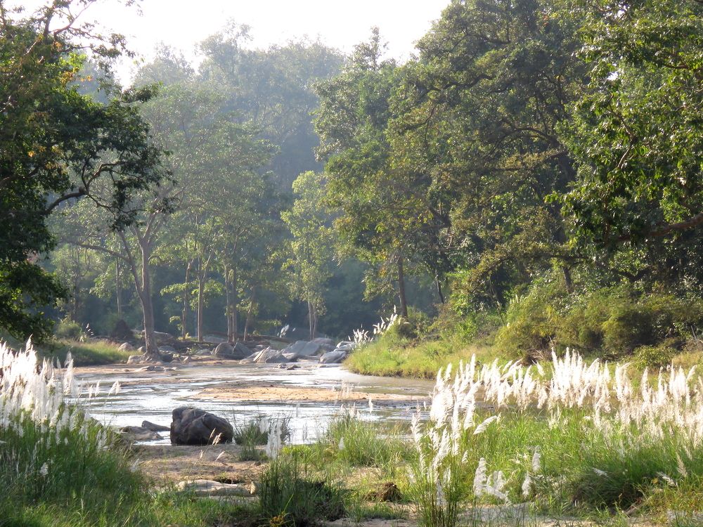 Photograph by SUCCESS LOVER