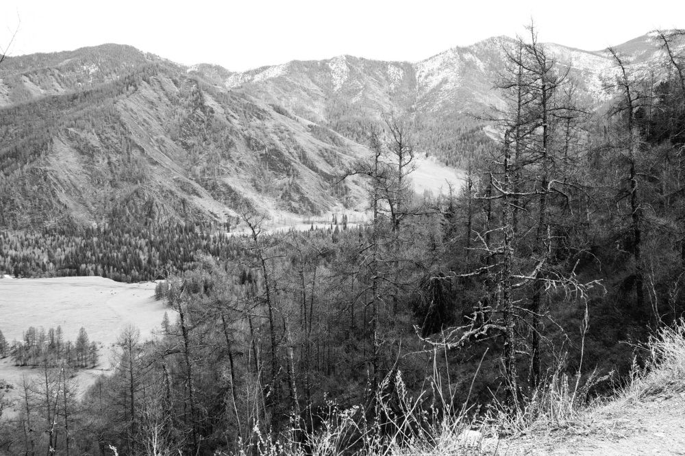 Photograph by Сергей Гребенников