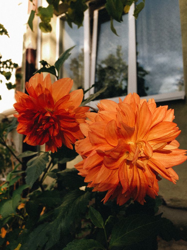 Photograph by Кристина Луканова