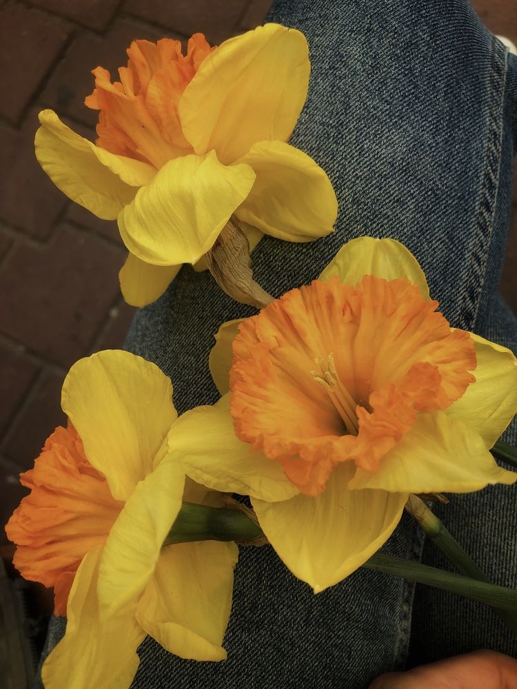 Photograph by Кристина Луканова