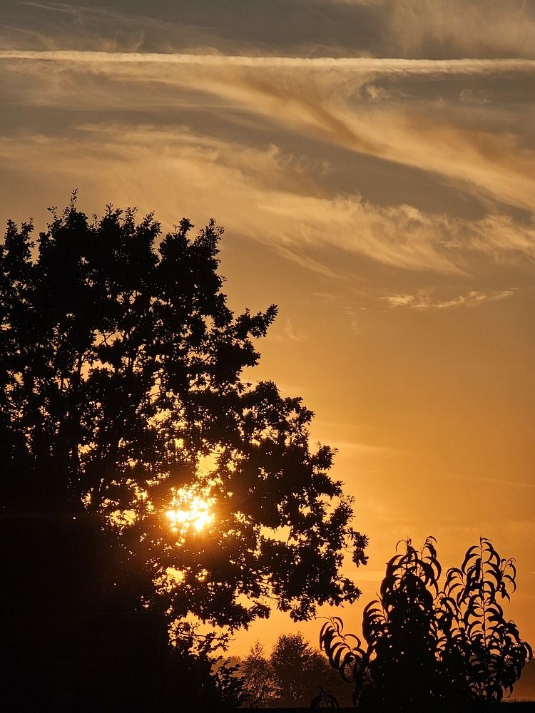 Photograph by Лиза Шалимова