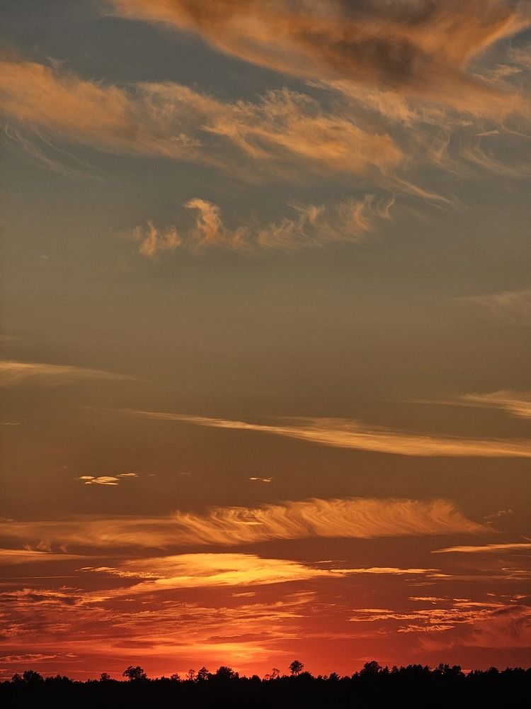 Photograph by Лиза Шалимова