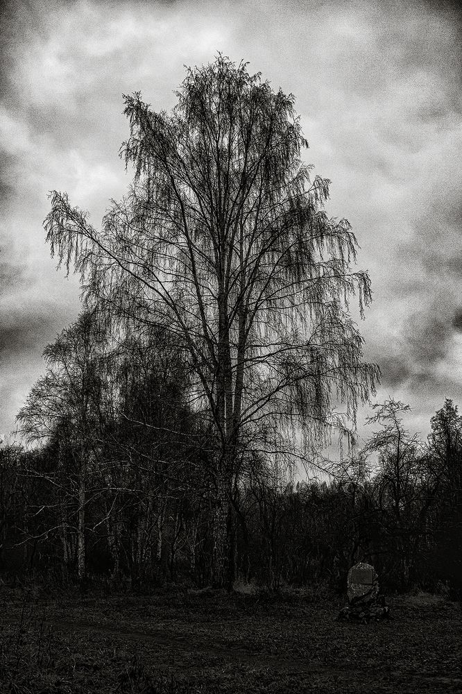 Photograph by Ivan Osipov