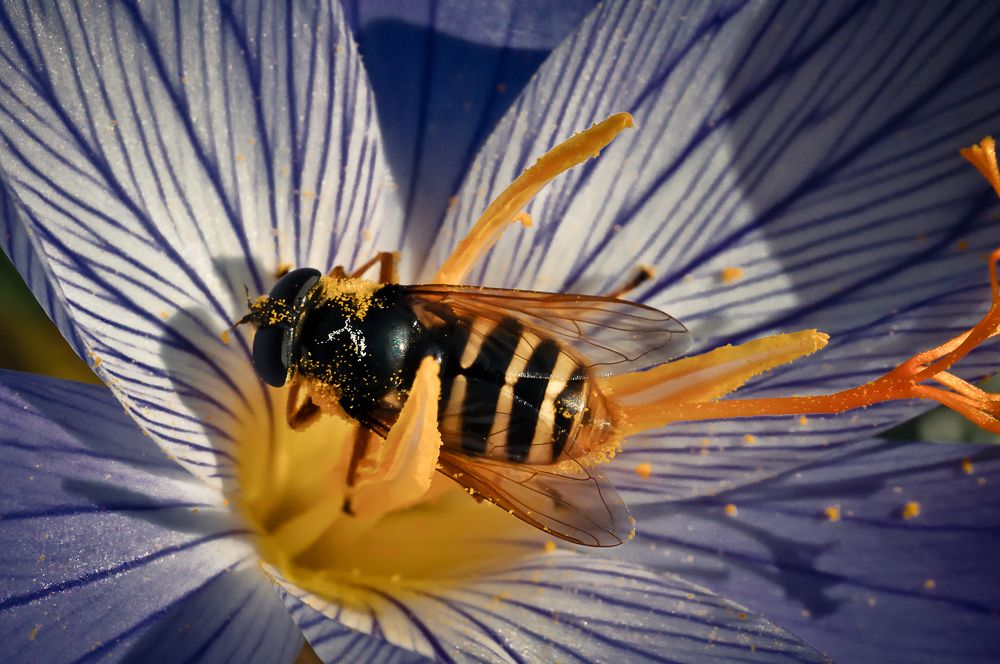 Photograph by Петр Мещеряков