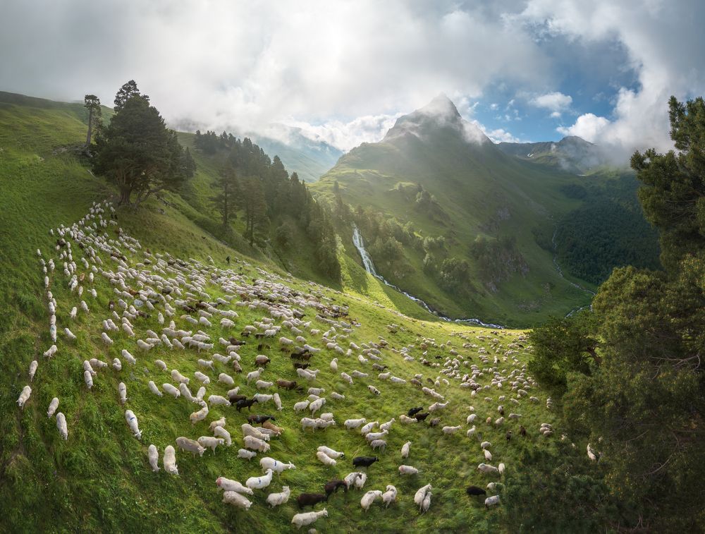 Photograph by Василий Яковлев