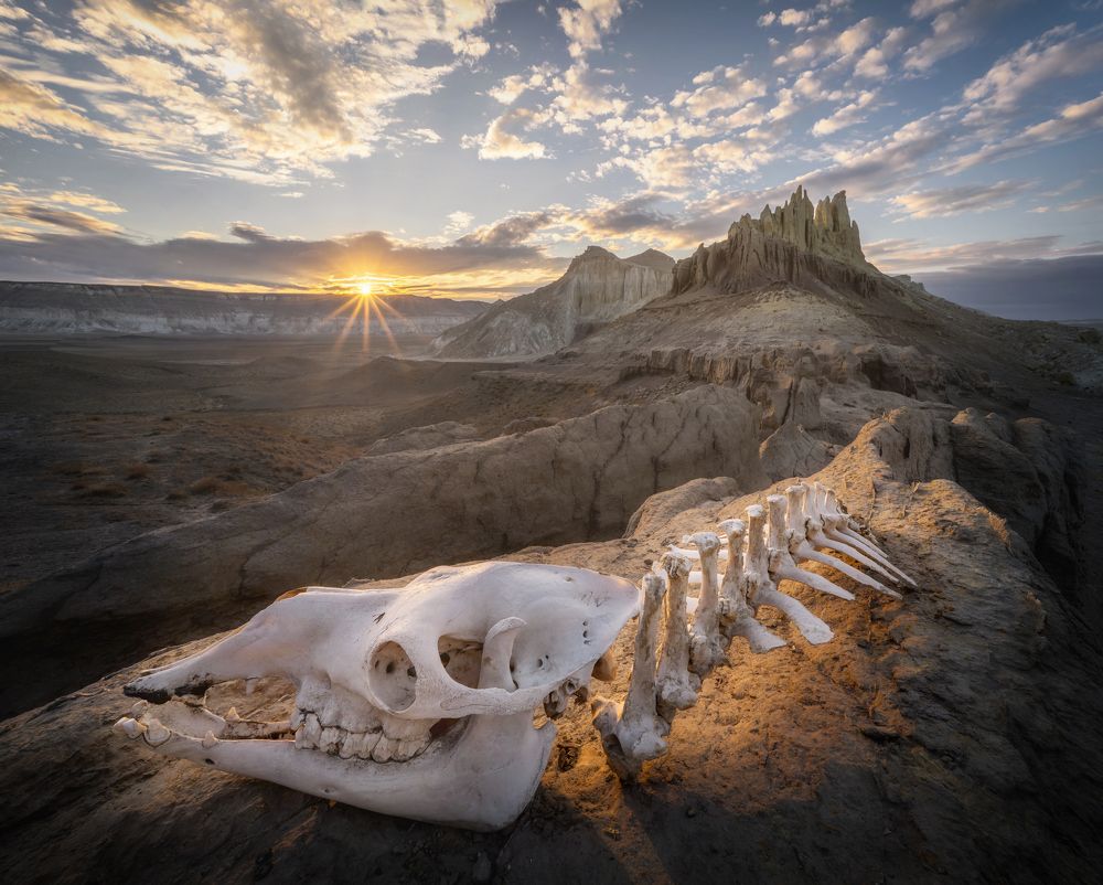 Photograph by Василий Яковлев