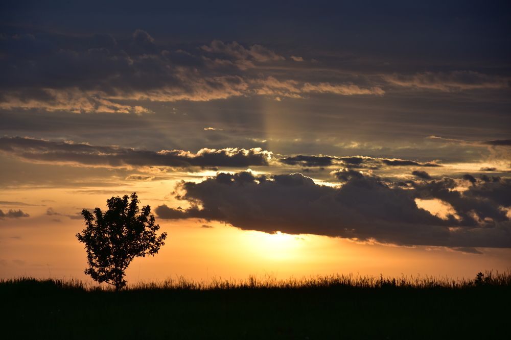 Photograph by Валерий Гудков