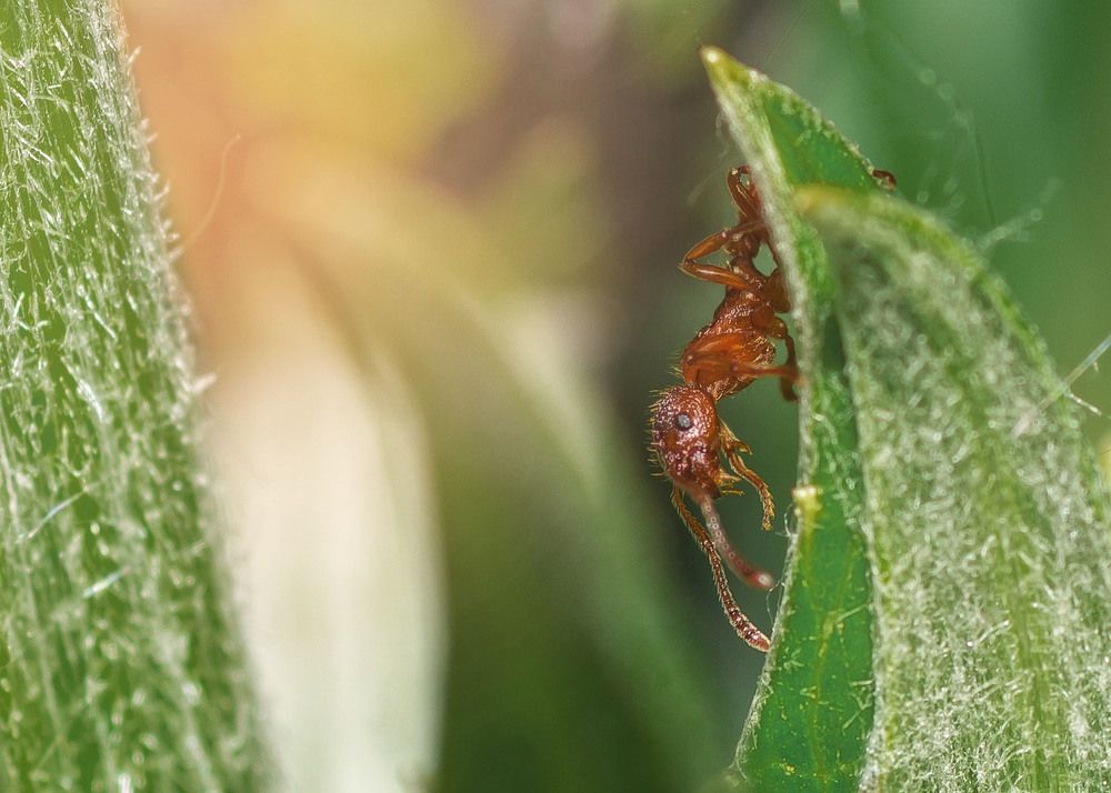 Photograph by Victor Stepanov