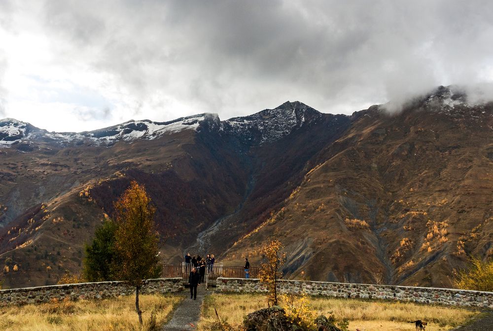 Photograph by Alex Kalpus