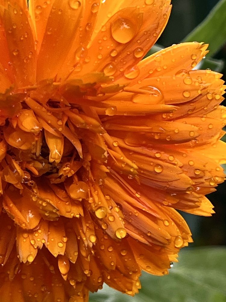 Photograph by Ирина Селиверстова