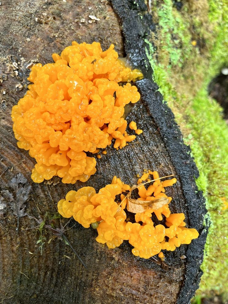 Photograph by Ирина Селиверстова