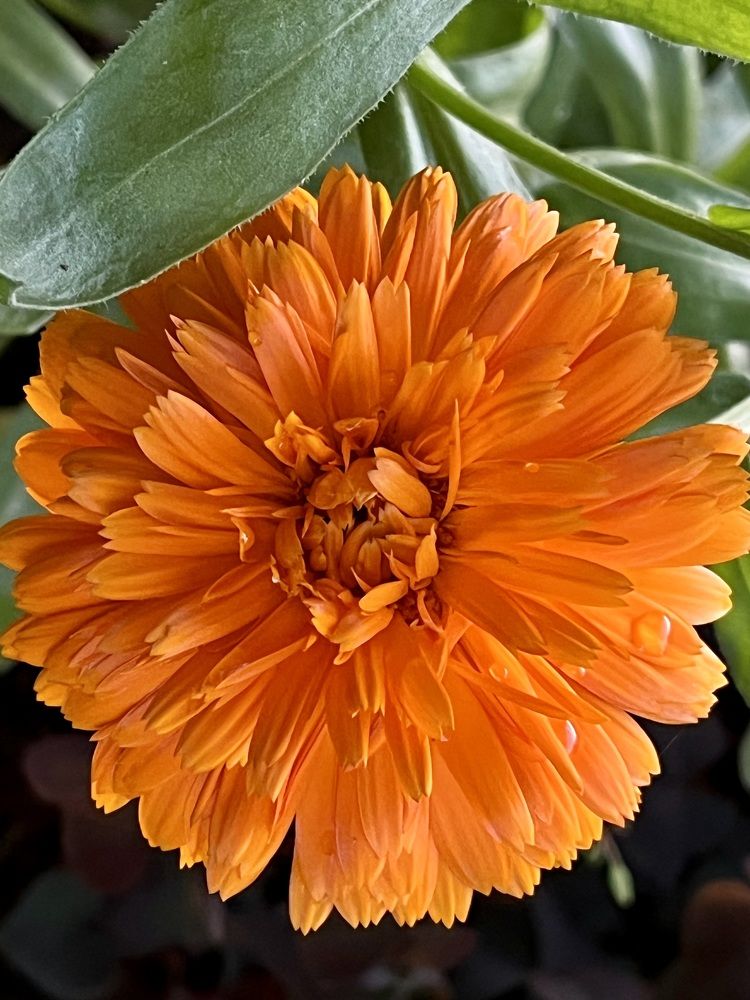 Photograph by Ирина Селиверстова