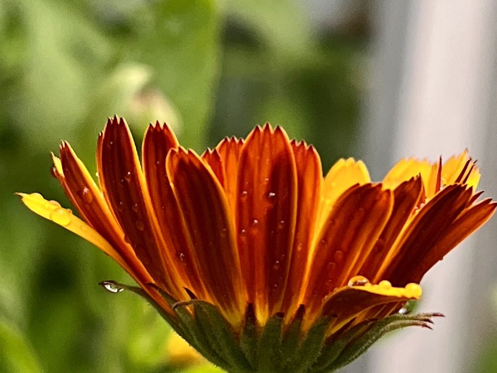 Photograph by Ирина Селиверстова