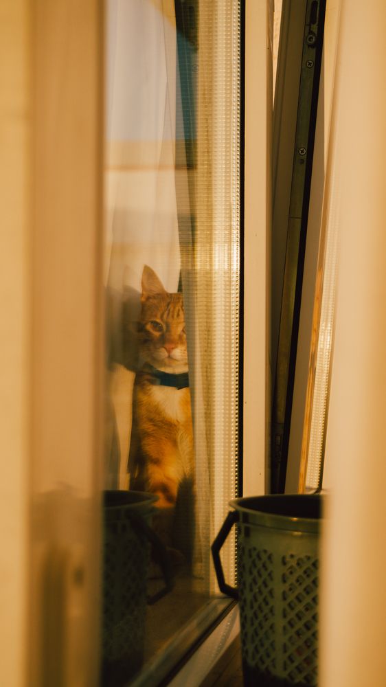 Photograph by Vadzim Darafei