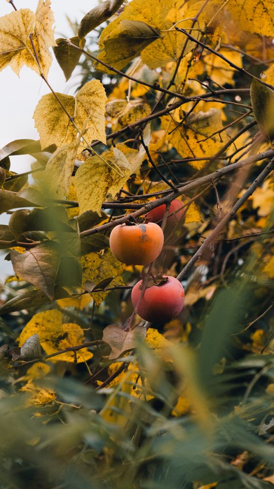 Photograph by Vadzim Darafei