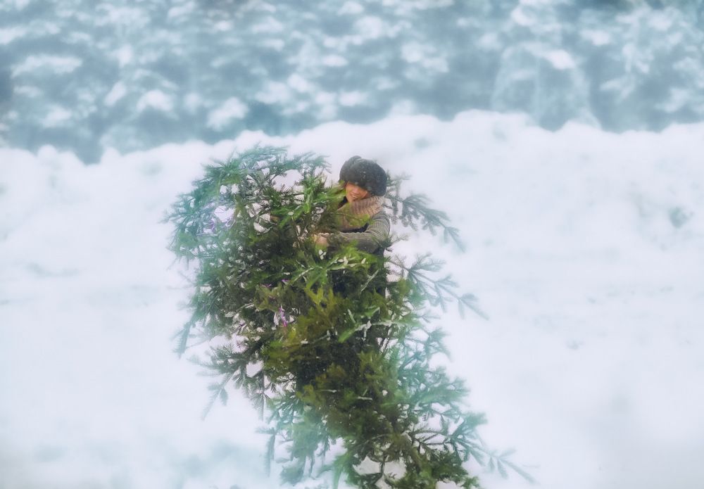 Photograph by Marina Ivanova