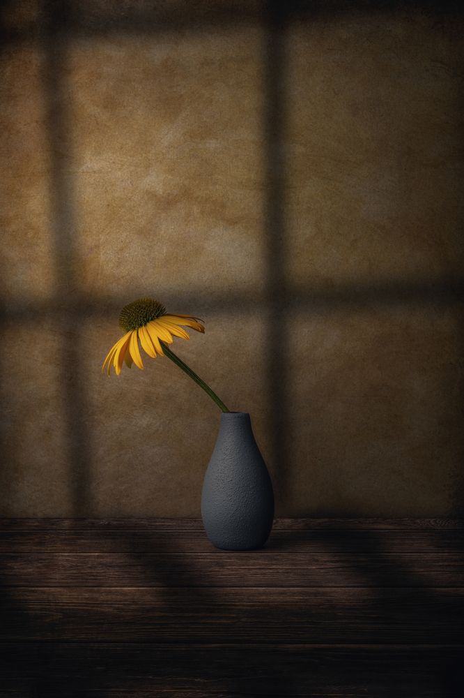 Photograph by Marko Klavs