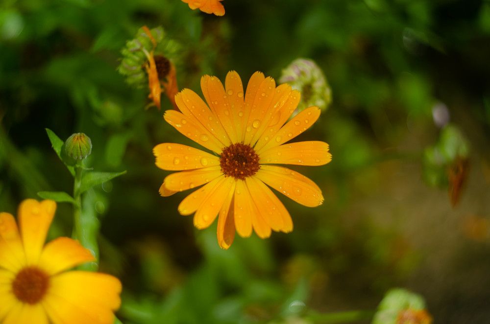 Photograph by Вадим Басов