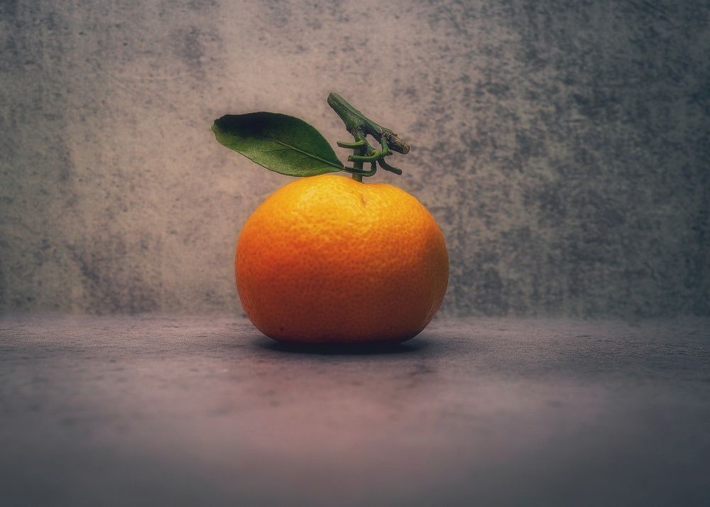 Photograph by Вадим Басов