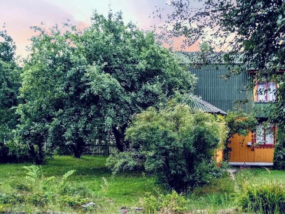 Photograph by Анна Андреевна