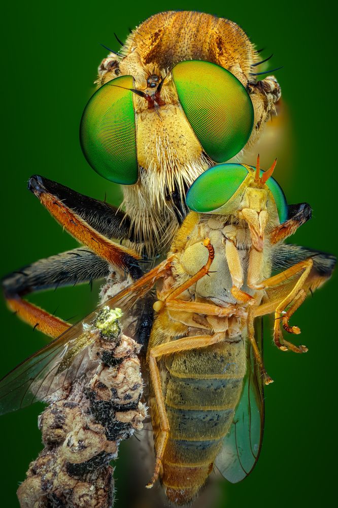 Photograph by Tran The Ngoc