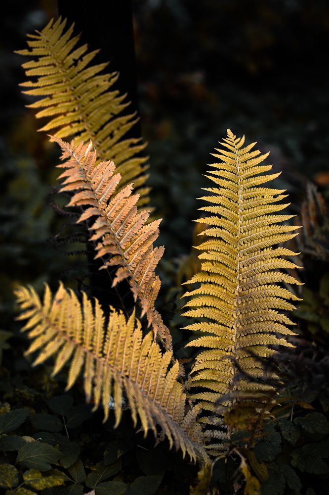 Photograph by Серова Мария