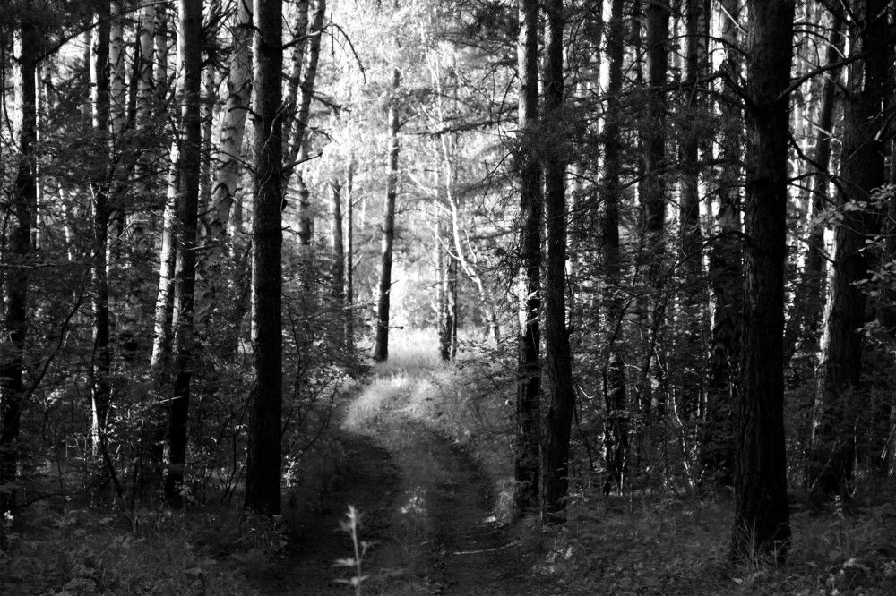 Photograph by Константин Филитов