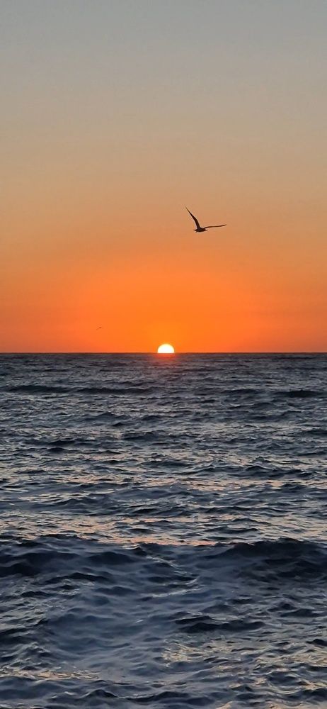 Фотография автора Ольга Мусина