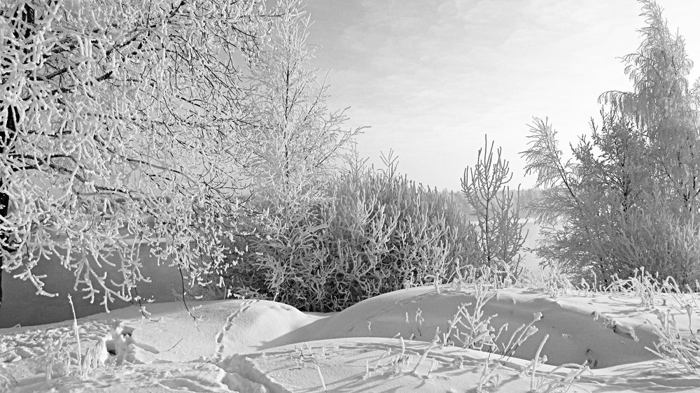 Photograph by Галина Пименова