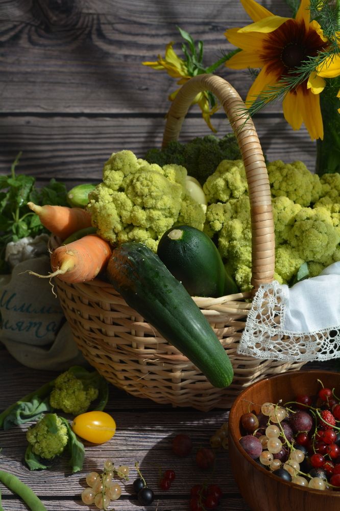 Photograph by OLGA LIZ