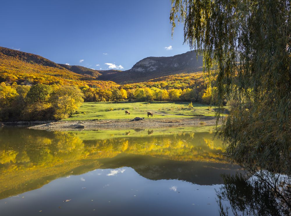 Photograph by Кривцов Андрей