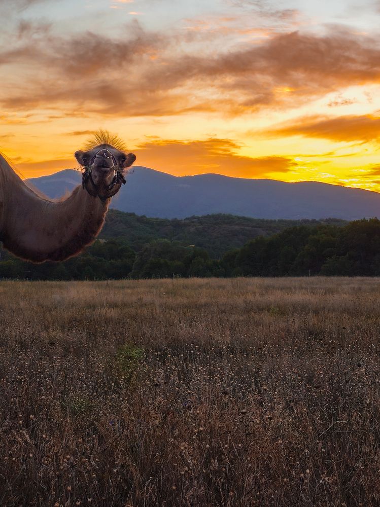 Photograph by Кривцов Андрей