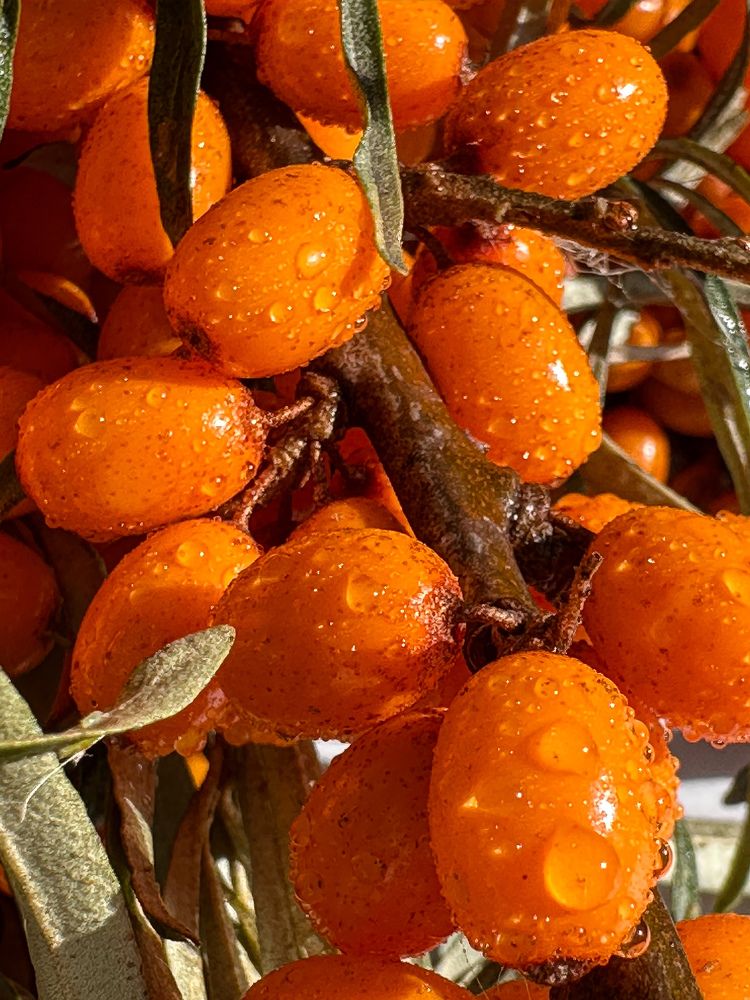 Photograph by Марина