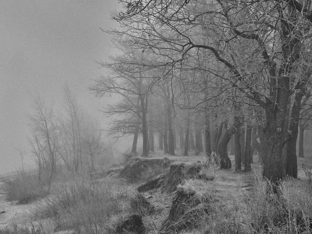 Photograph by Серёга Ануфриев