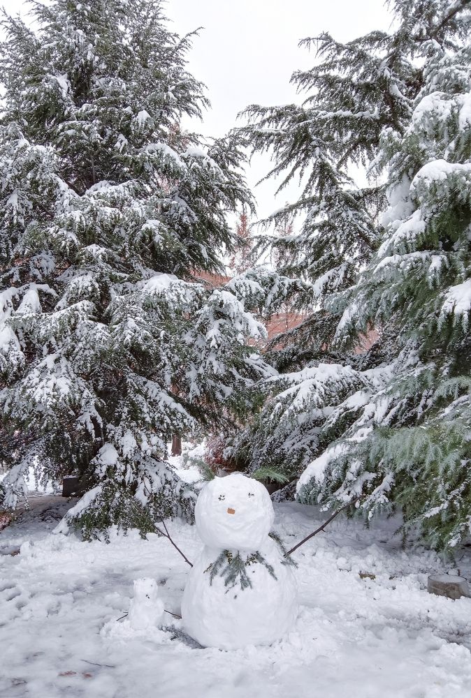 The Snow Man