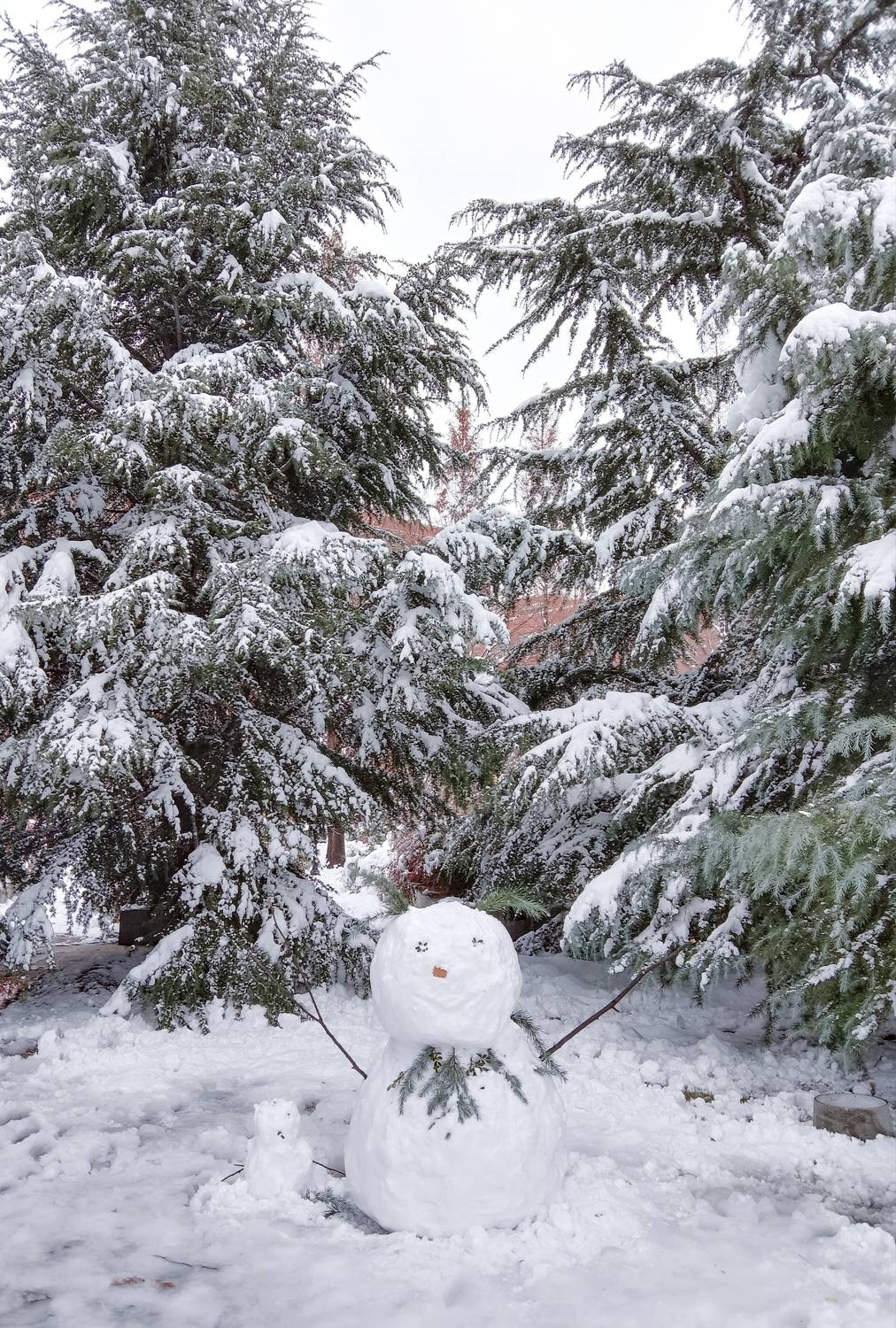 The Snow Man