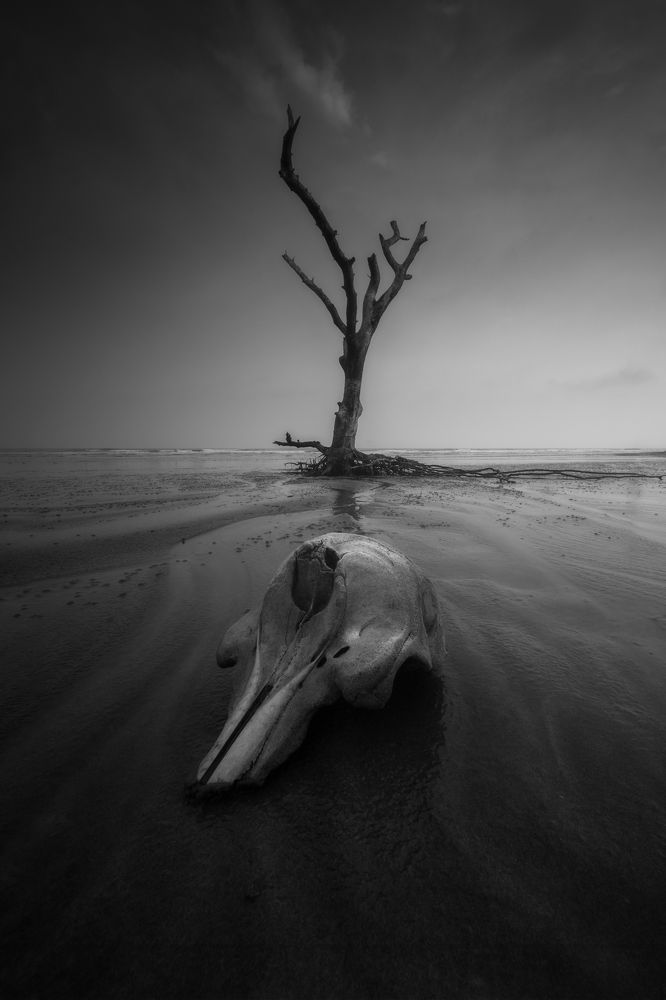 Photograph by Sk Shahrukh Sohel