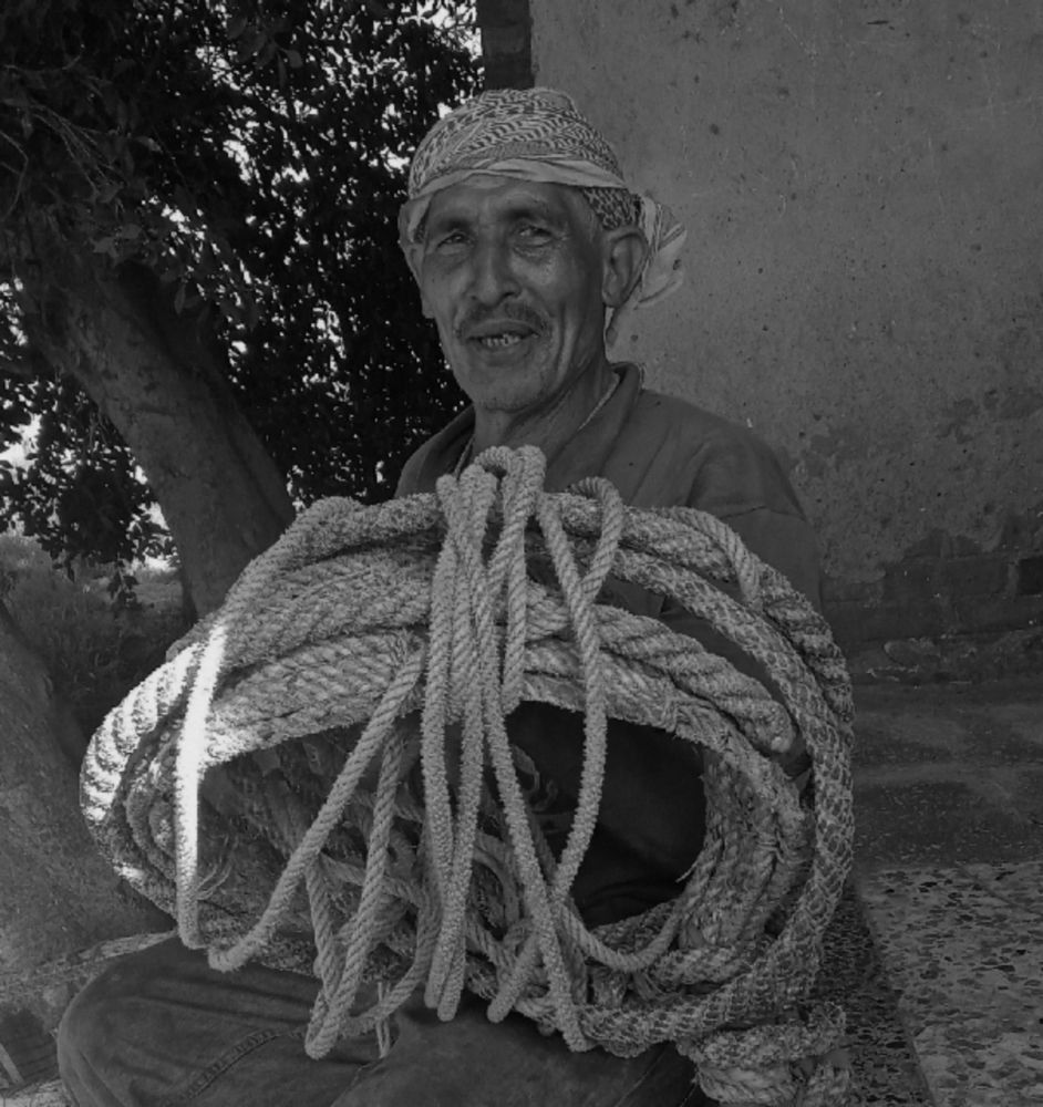 Photograph by على اشرف محمد عبد الجواد شعبان