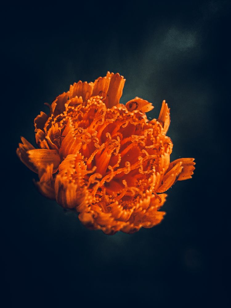 Photograph by Анна Пигулевская