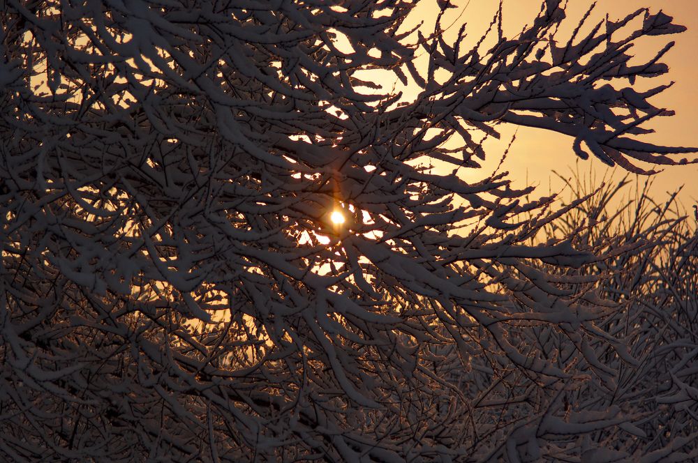 Photograph by Наталья Струц