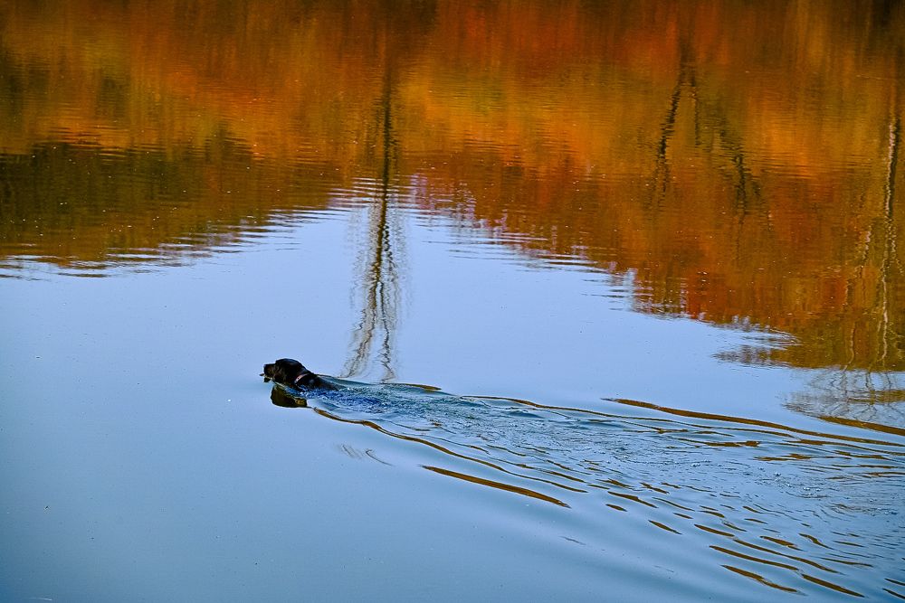 Photograph by Наталья Струц