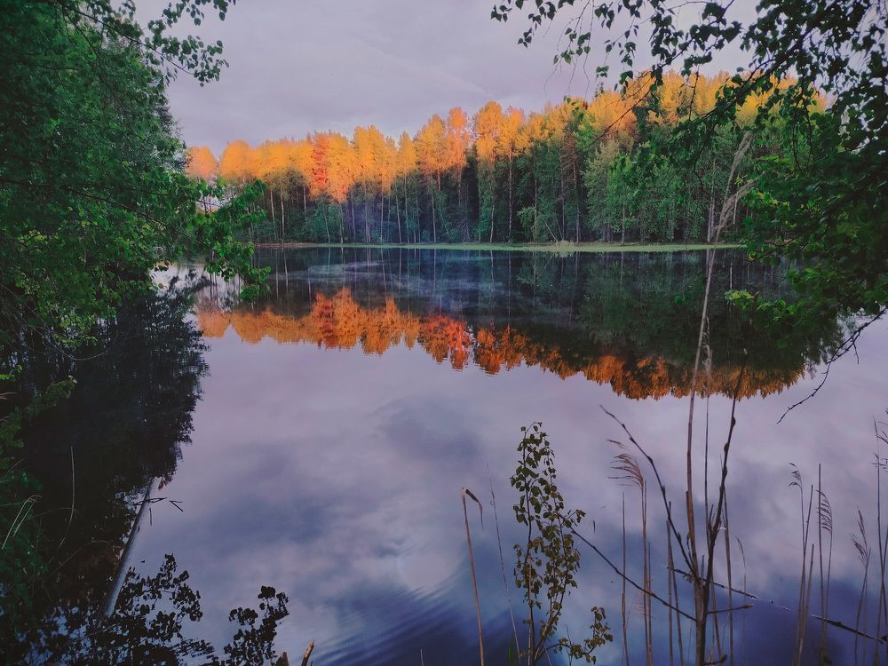 Photograph by Людмила Ваганова