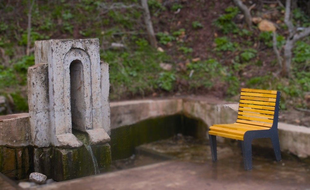 Photograph by Людмила Ваганова