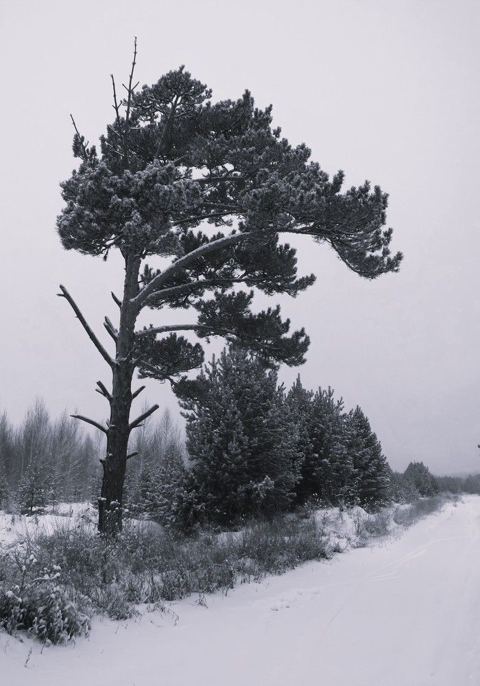 Фотография автора Анастасия Коваль